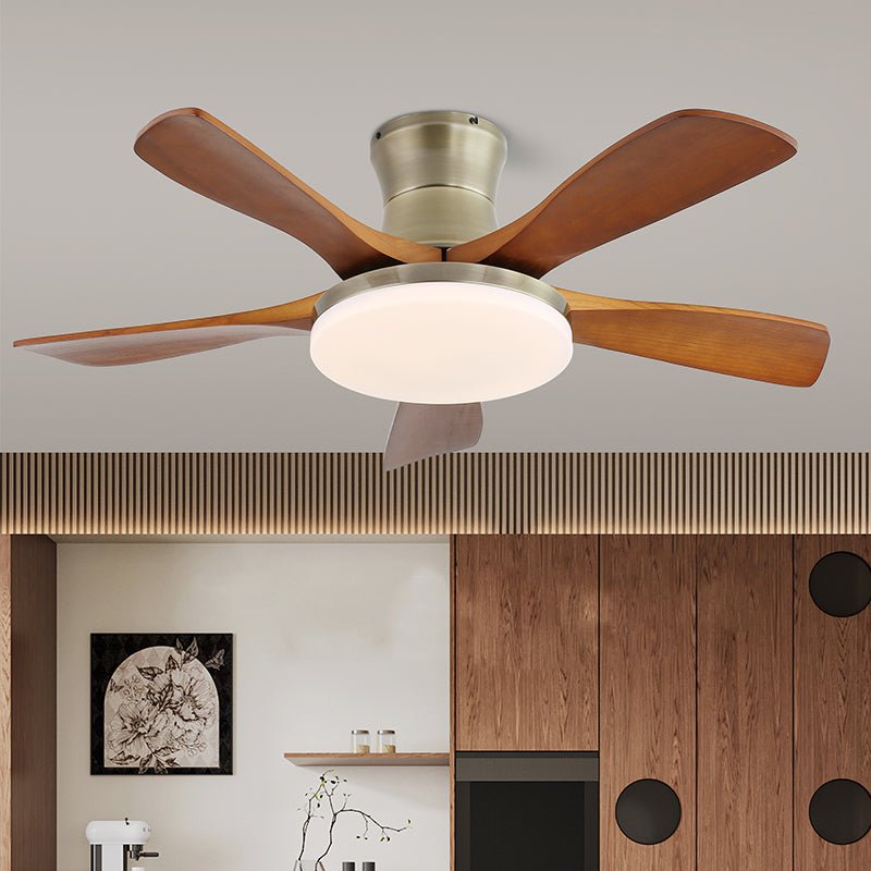 Zelon Ceiling Fan Light