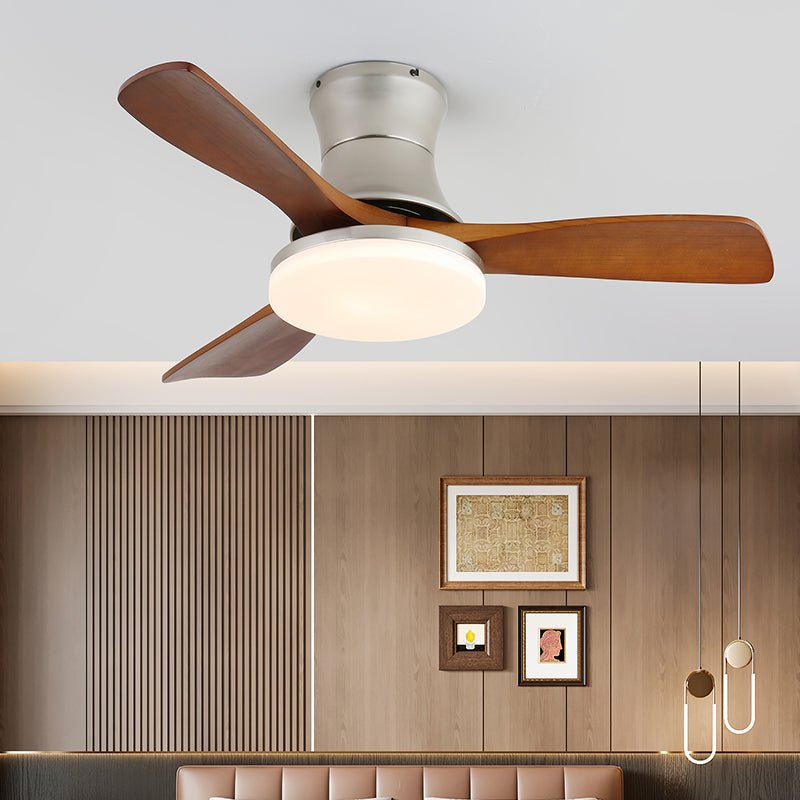 Zelon Ceiling Fan Light