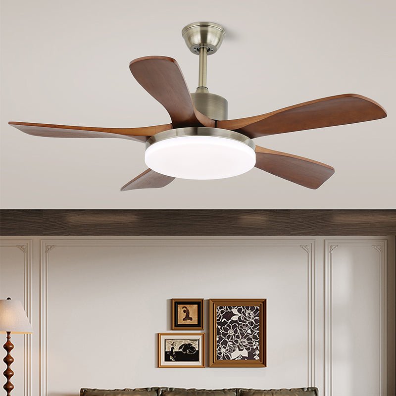 Zelon Ceiling Fan Light