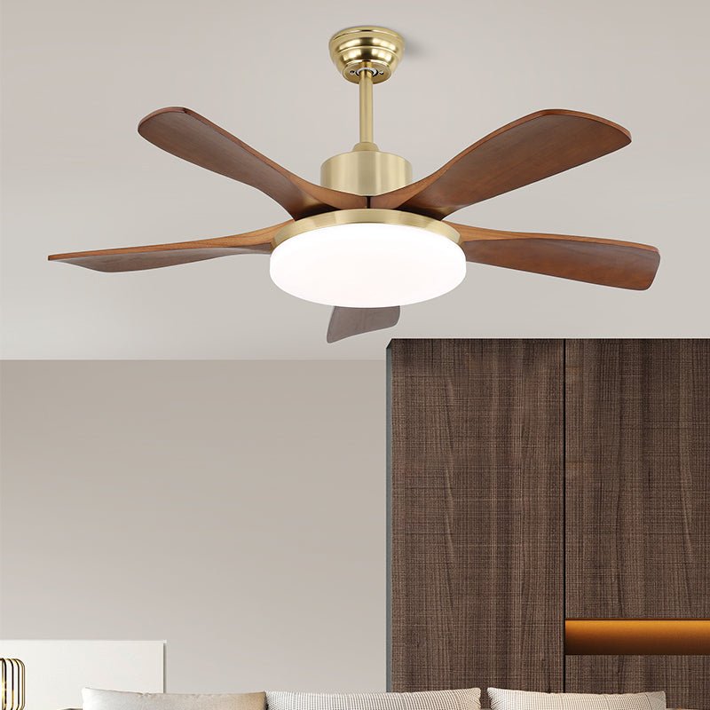 Zelon Ceiling Fan Light