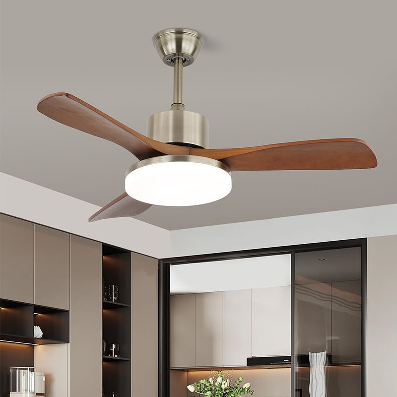 Zelon Ceiling Fan Light