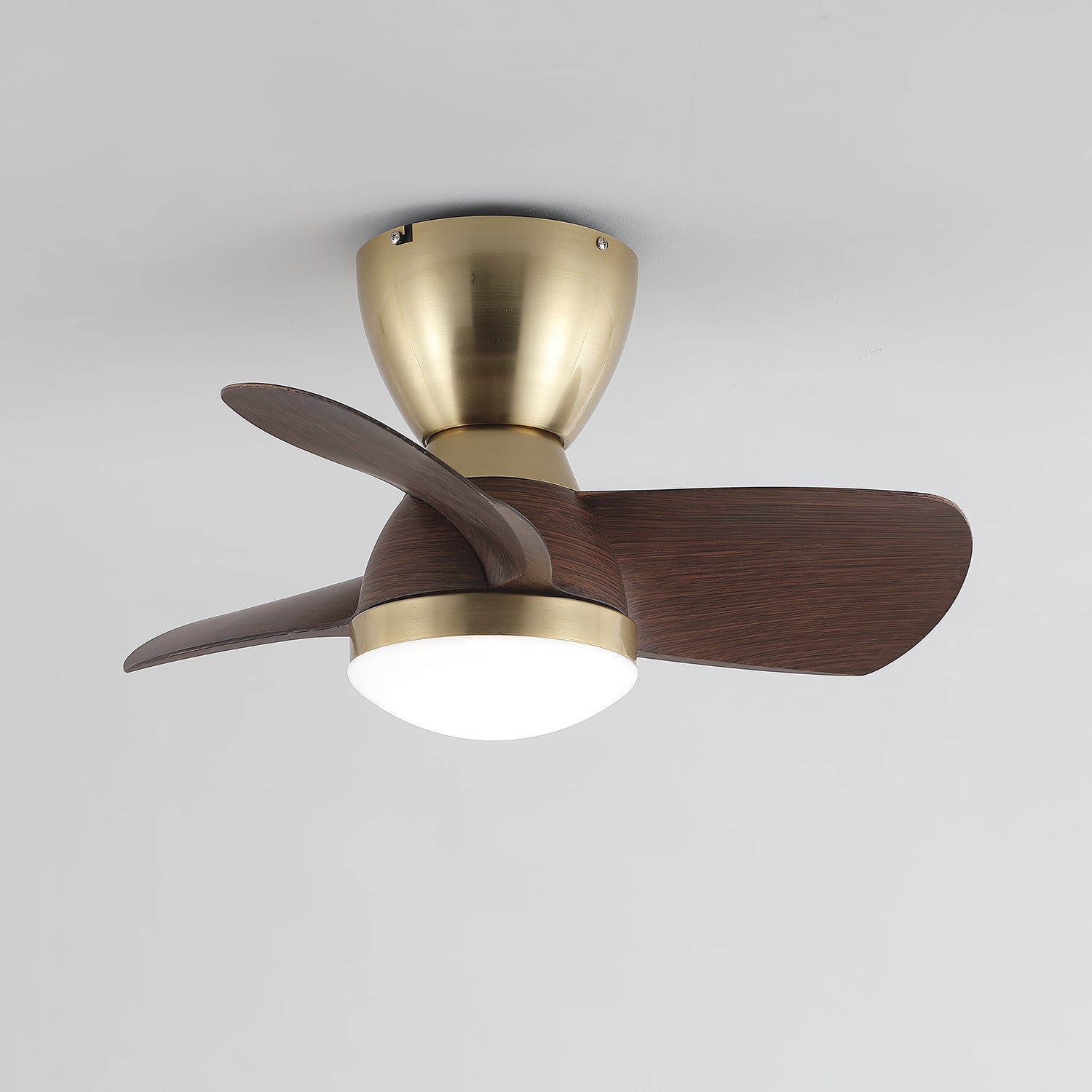 Avaya Ceiling Fan Light