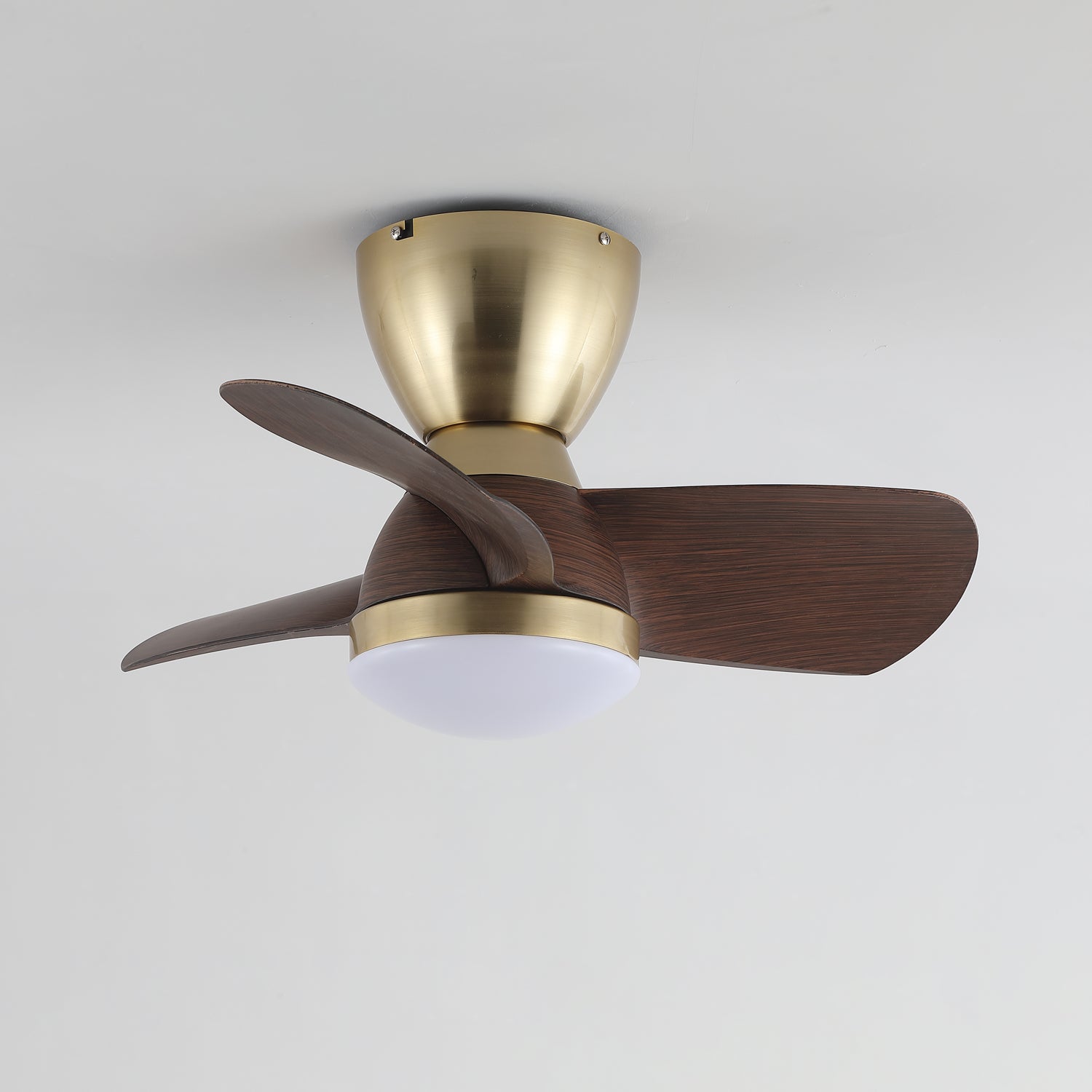 Avaya Ceiling Fan Light