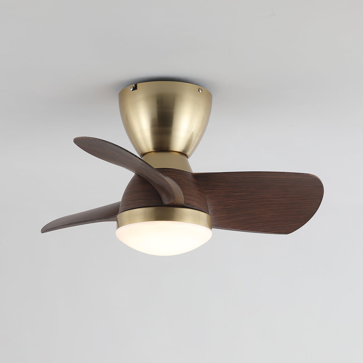 Avaya Ceiling Fan Light