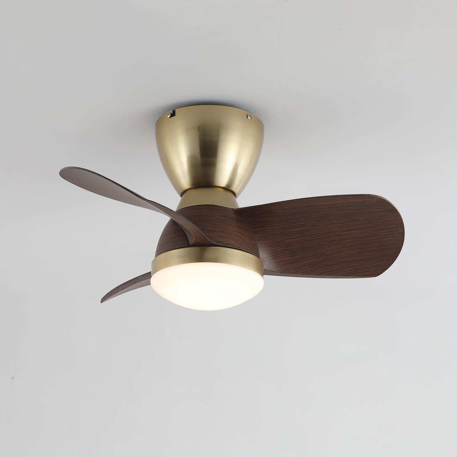 Avaya Ceiling Fan Light
