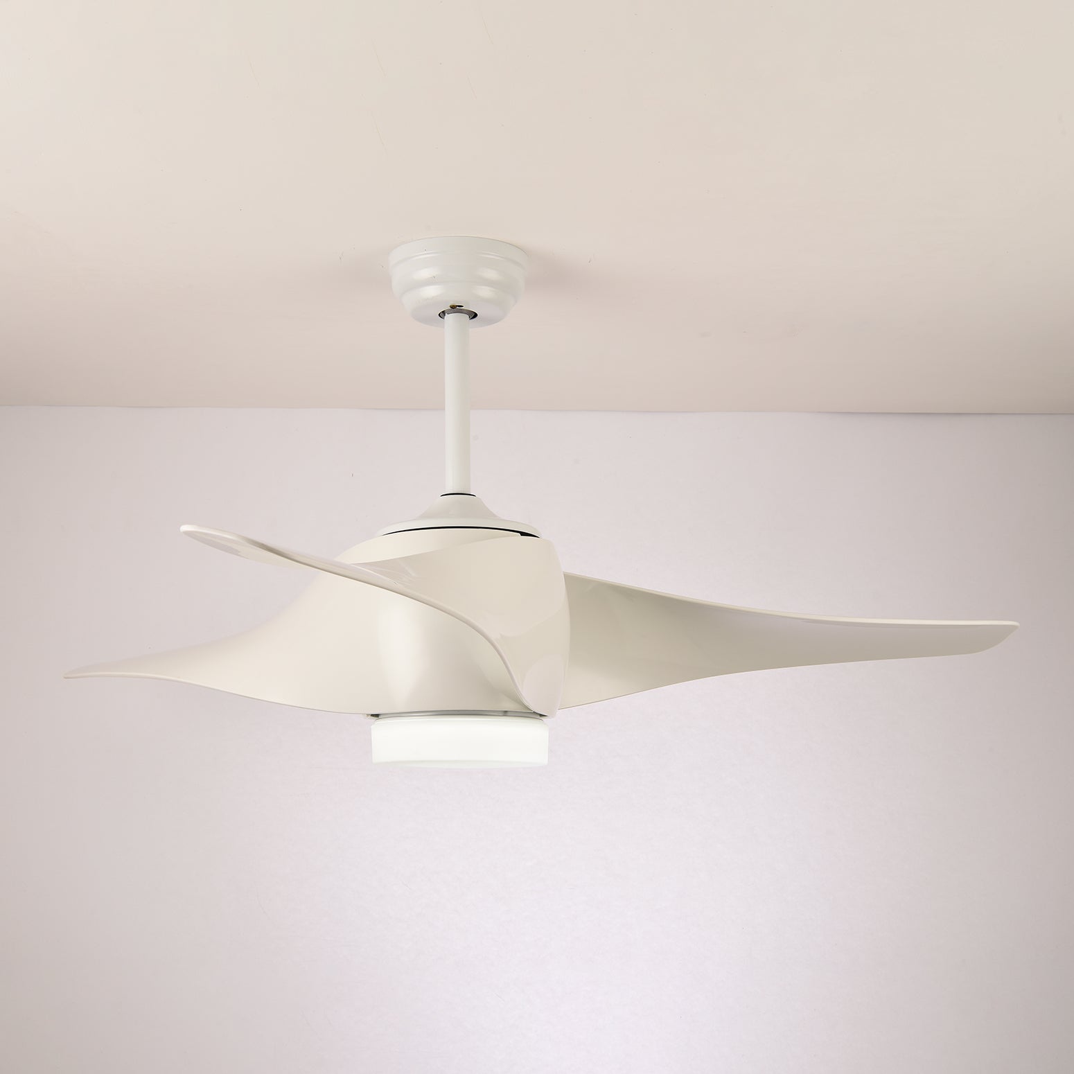 Dellyn Ceiling Fan Light