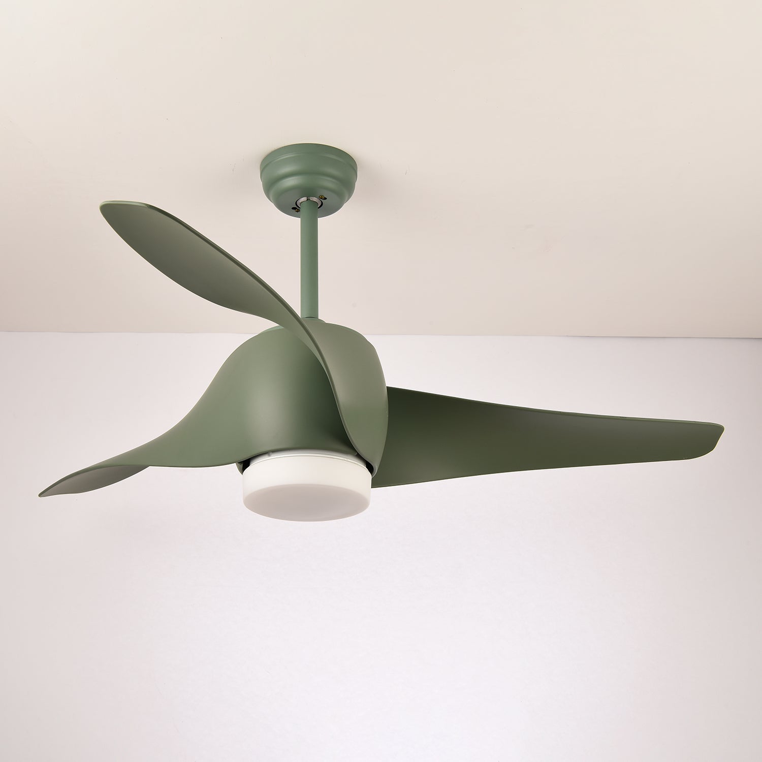 Dellyn Ceiling Fan Light