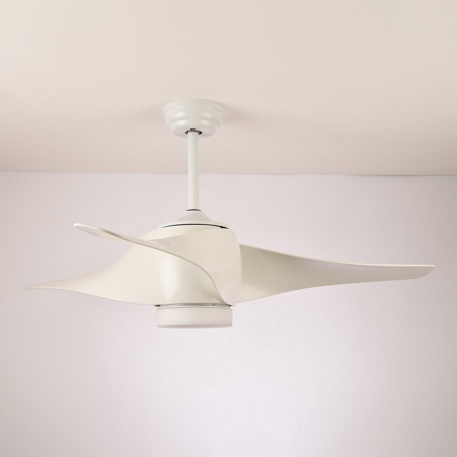 Dellyn Ceiling Fan Light