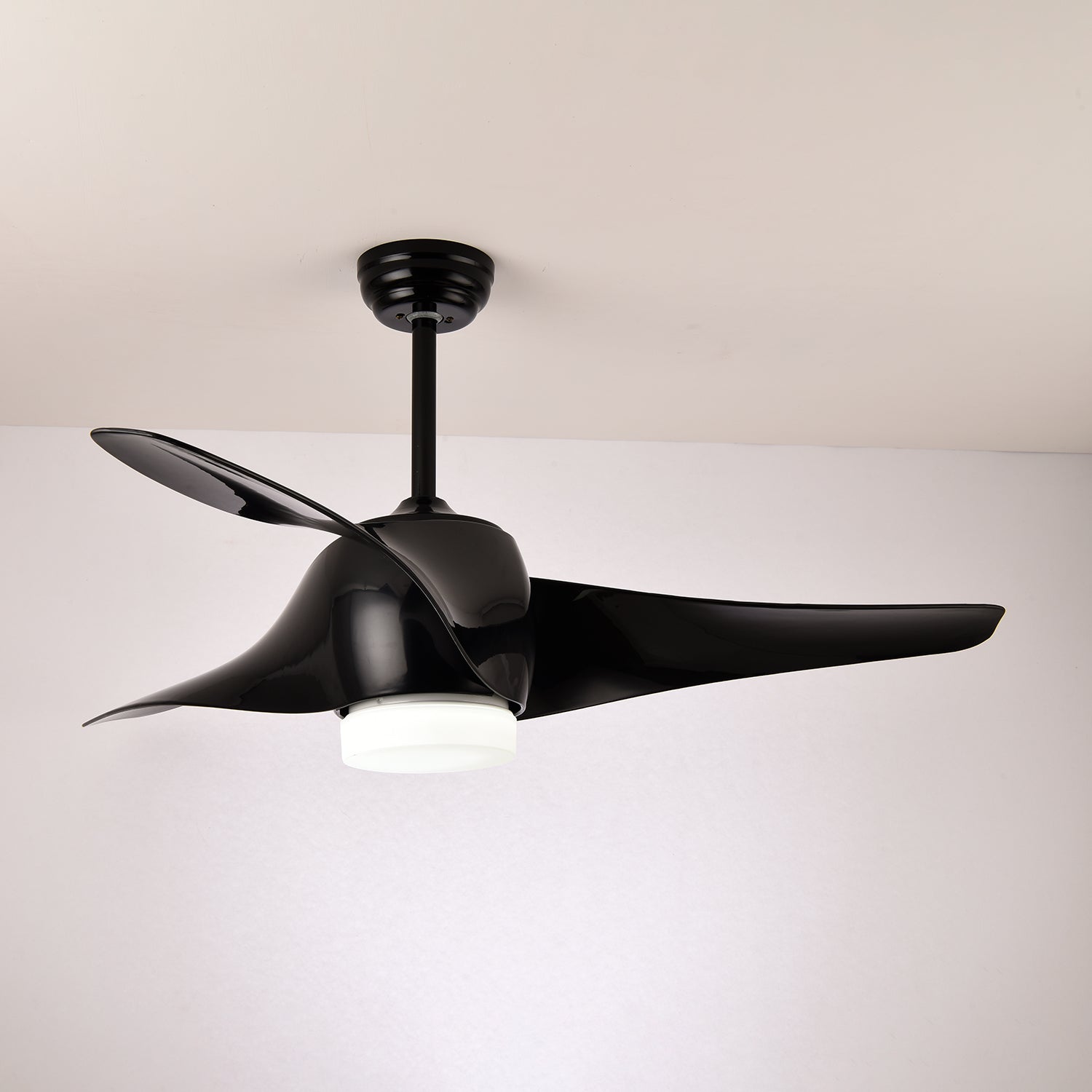 Dellyn Ceiling Fan Light