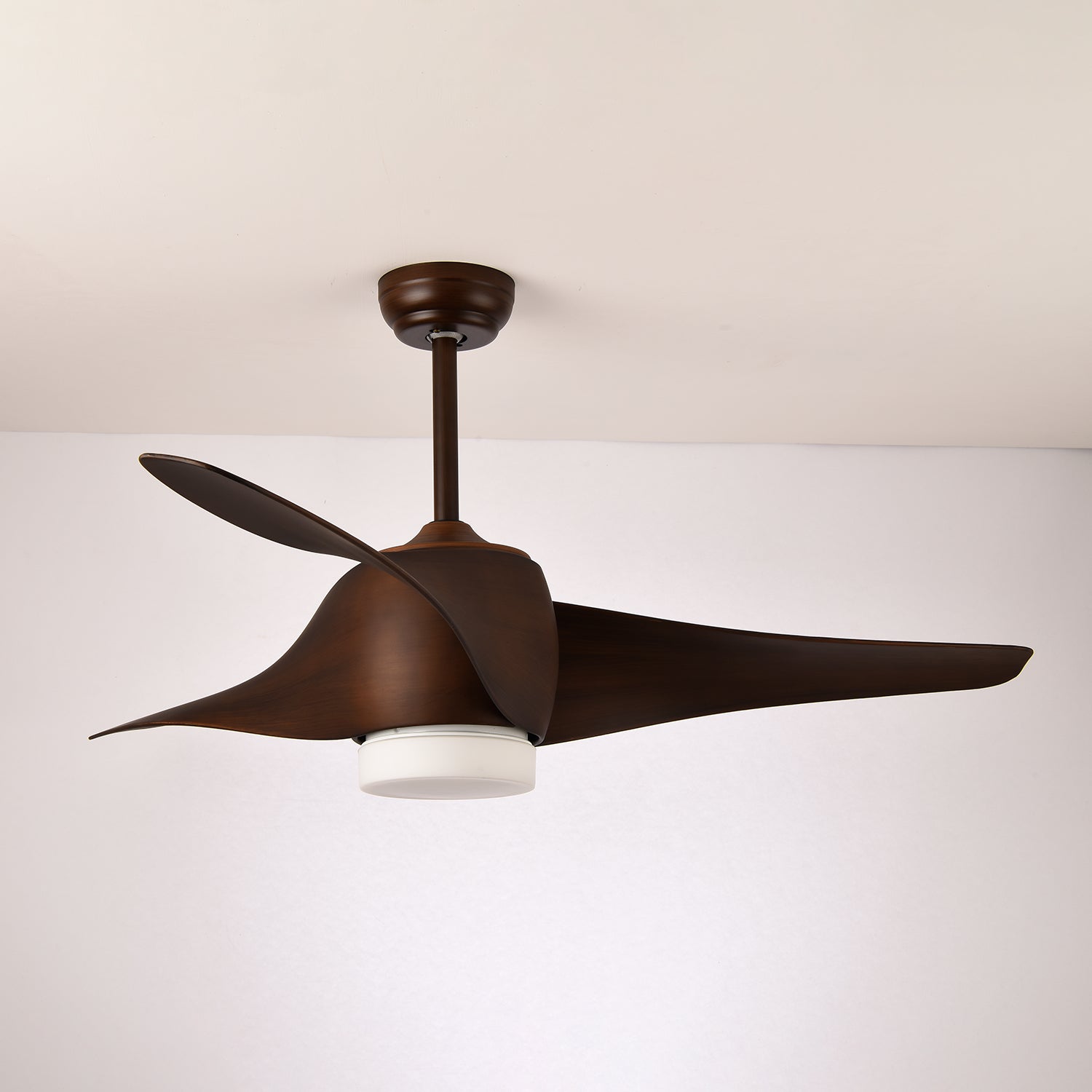 Dellyn Ceiling Fan Light