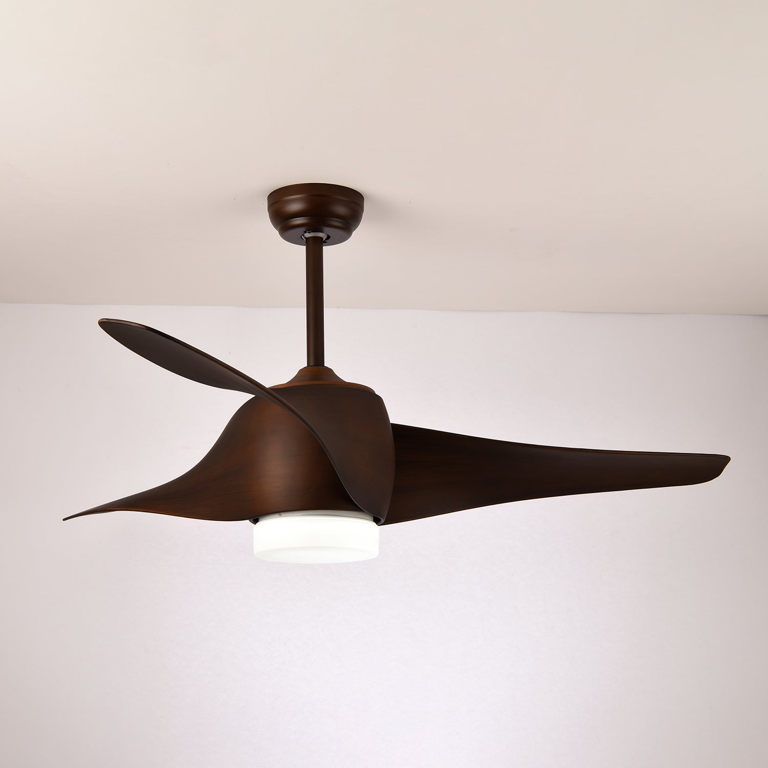 Dellyn Ceiling Fan Light