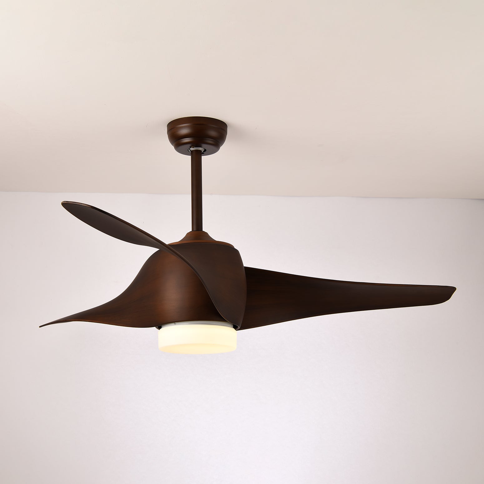 Dellyn Ceiling Fan Light