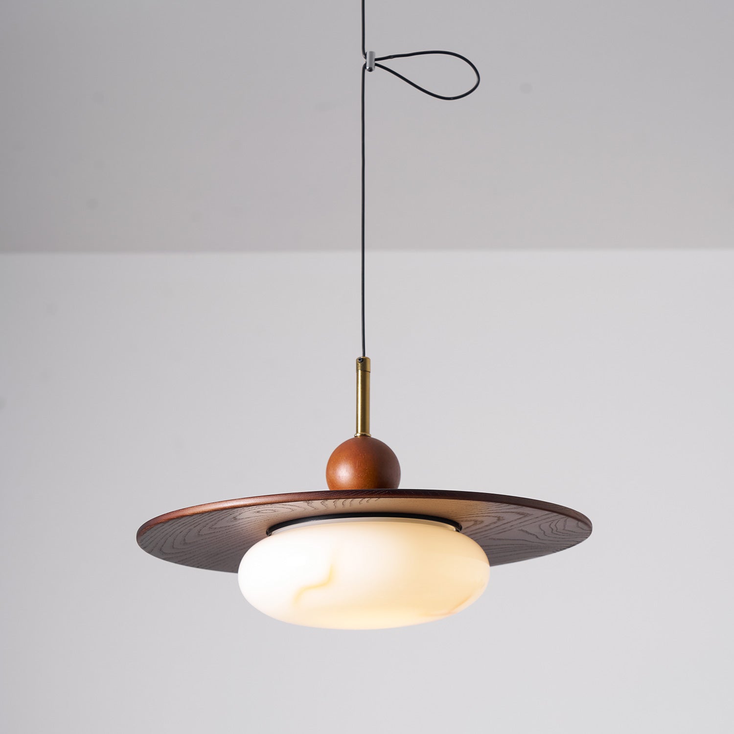 Calani Swing Arm Pendant Light
