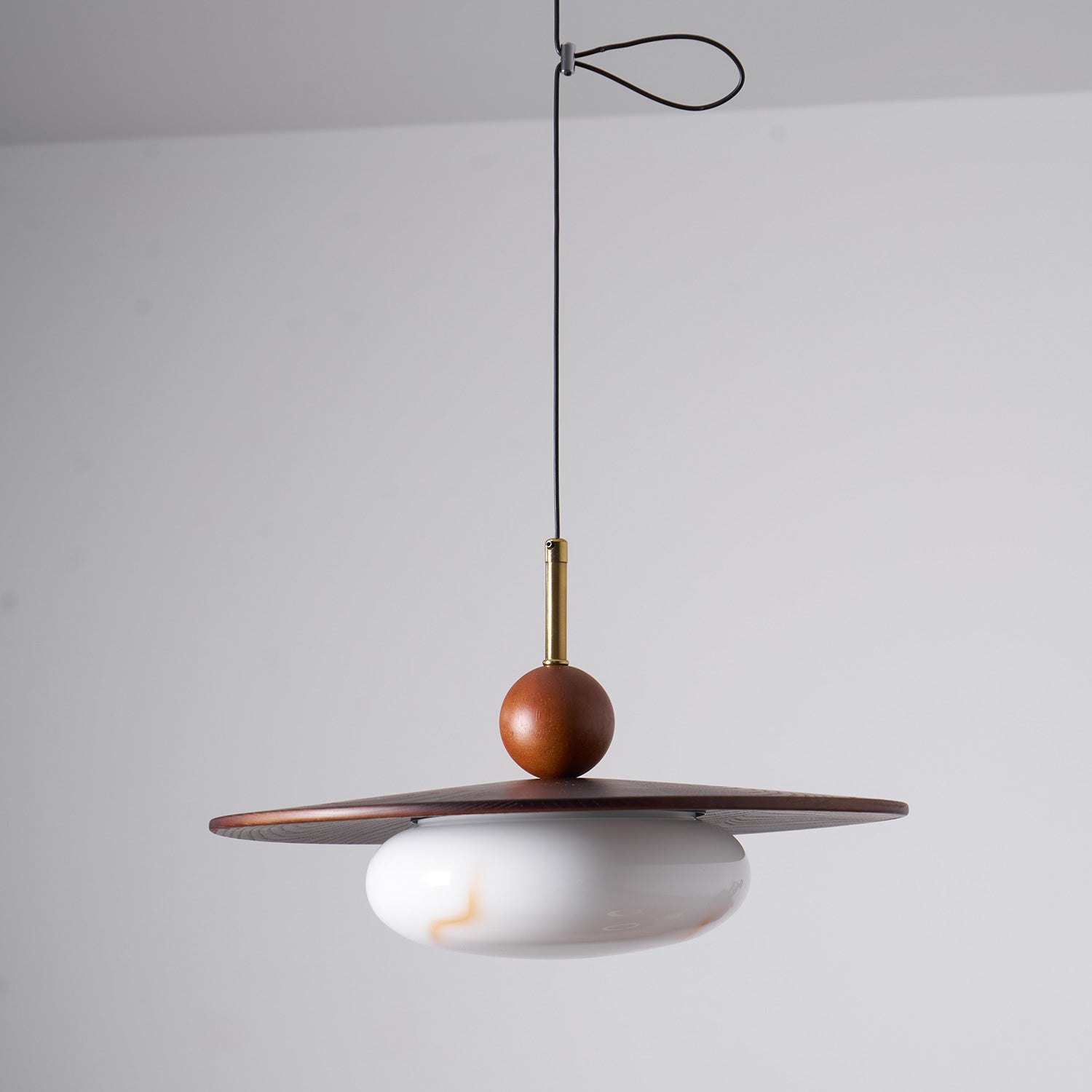 Calani Swing Arm Pendant Light