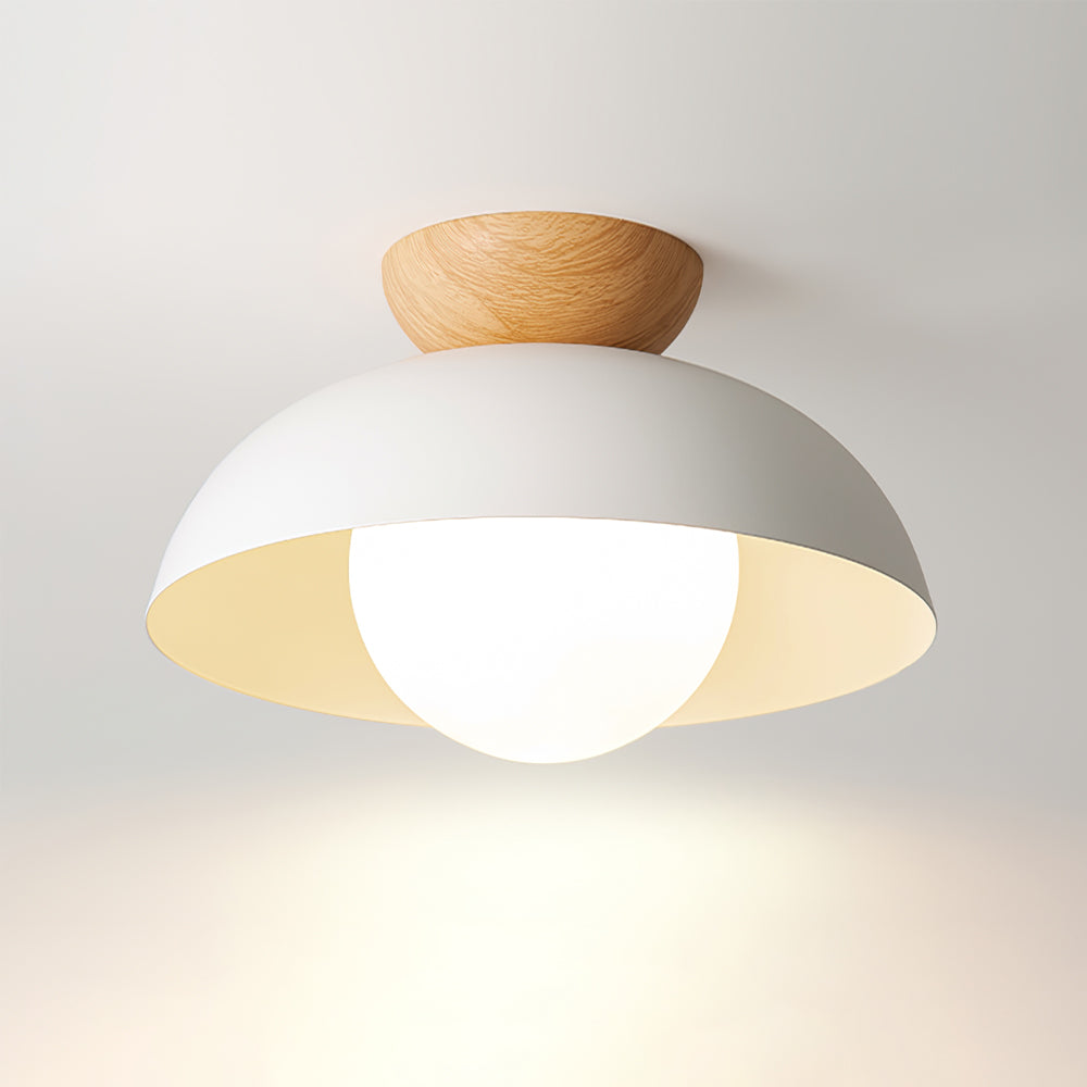 Junova Sloped Ceiling Light
