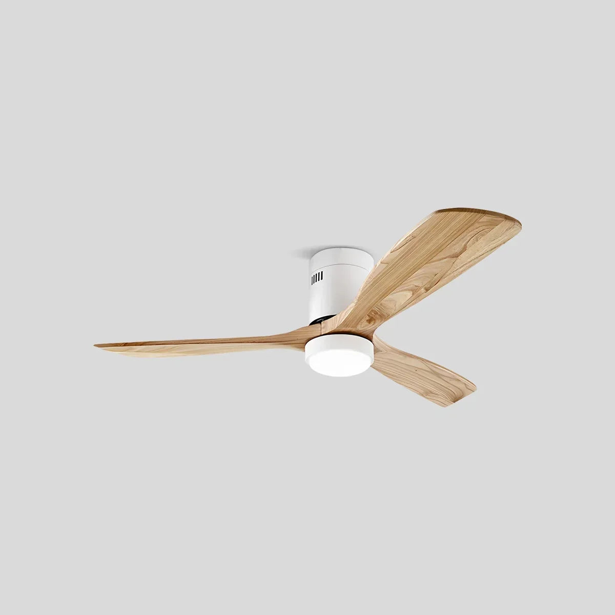 Larkey Ceiling Fan Light