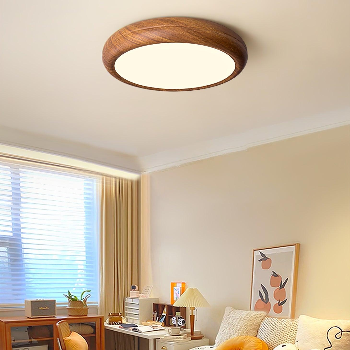 Delva Round Ceiling Light
