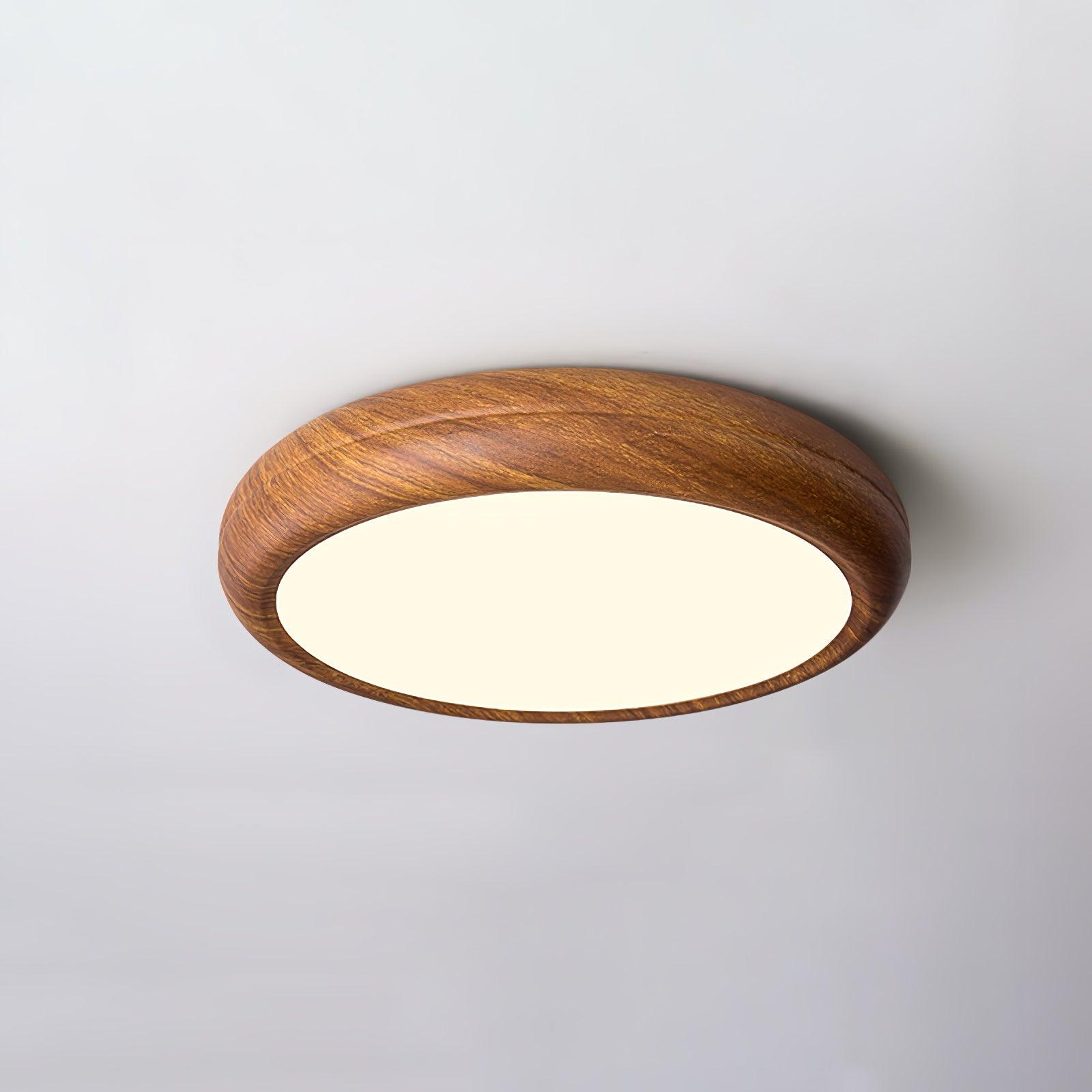 Delva Round Ceiling Light