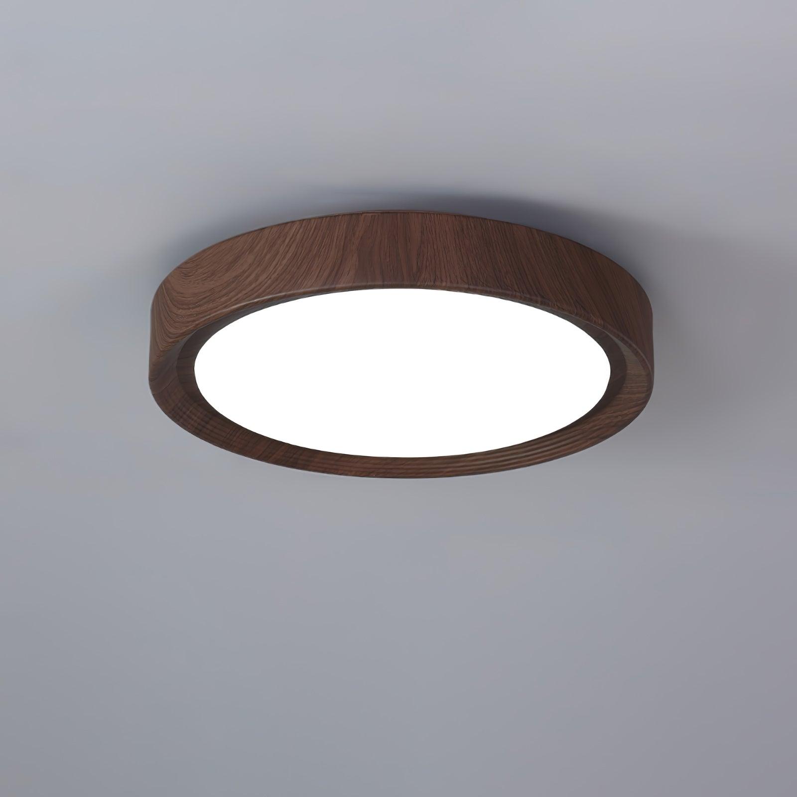 Delva Round Ceiling Light