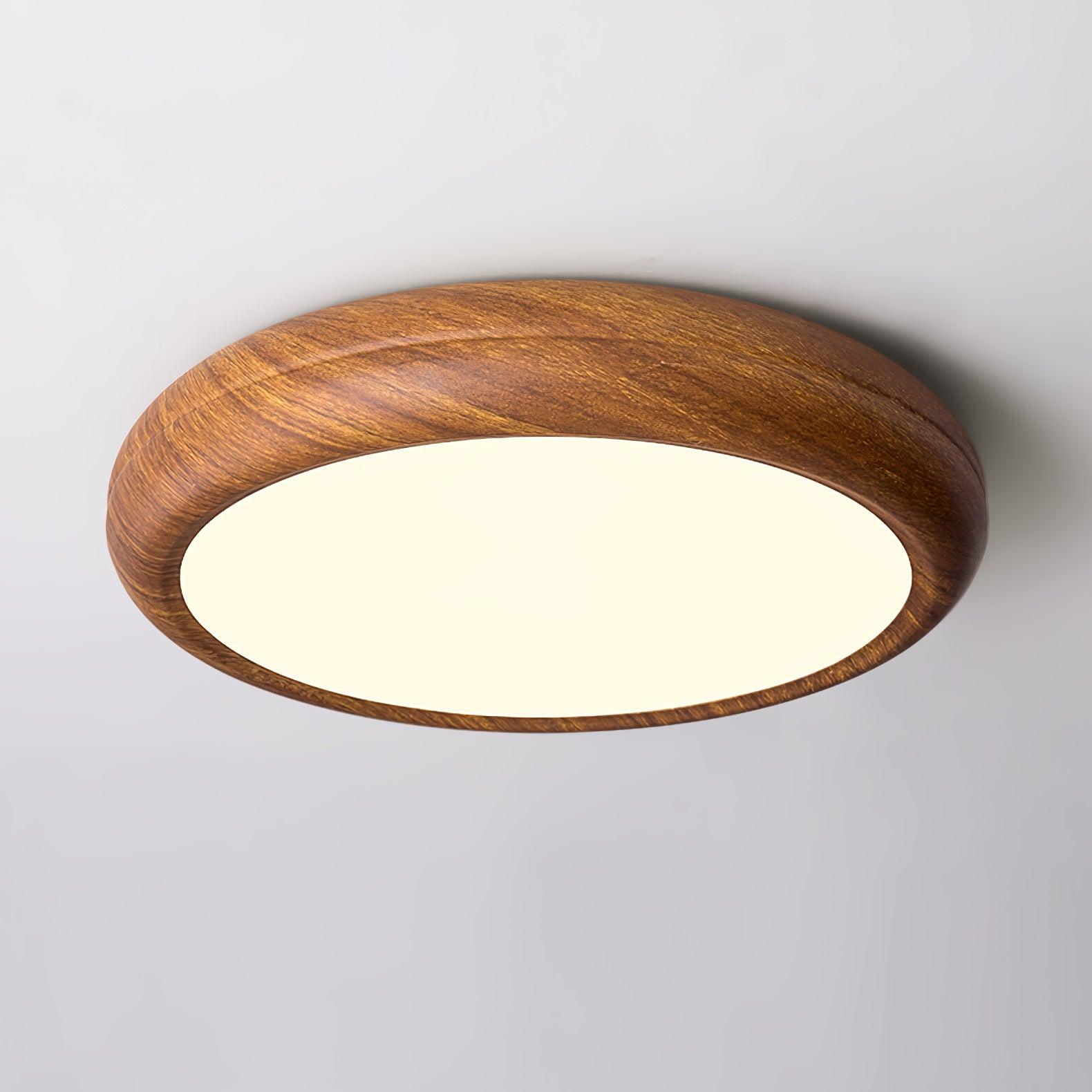 Delva Round Ceiling Light