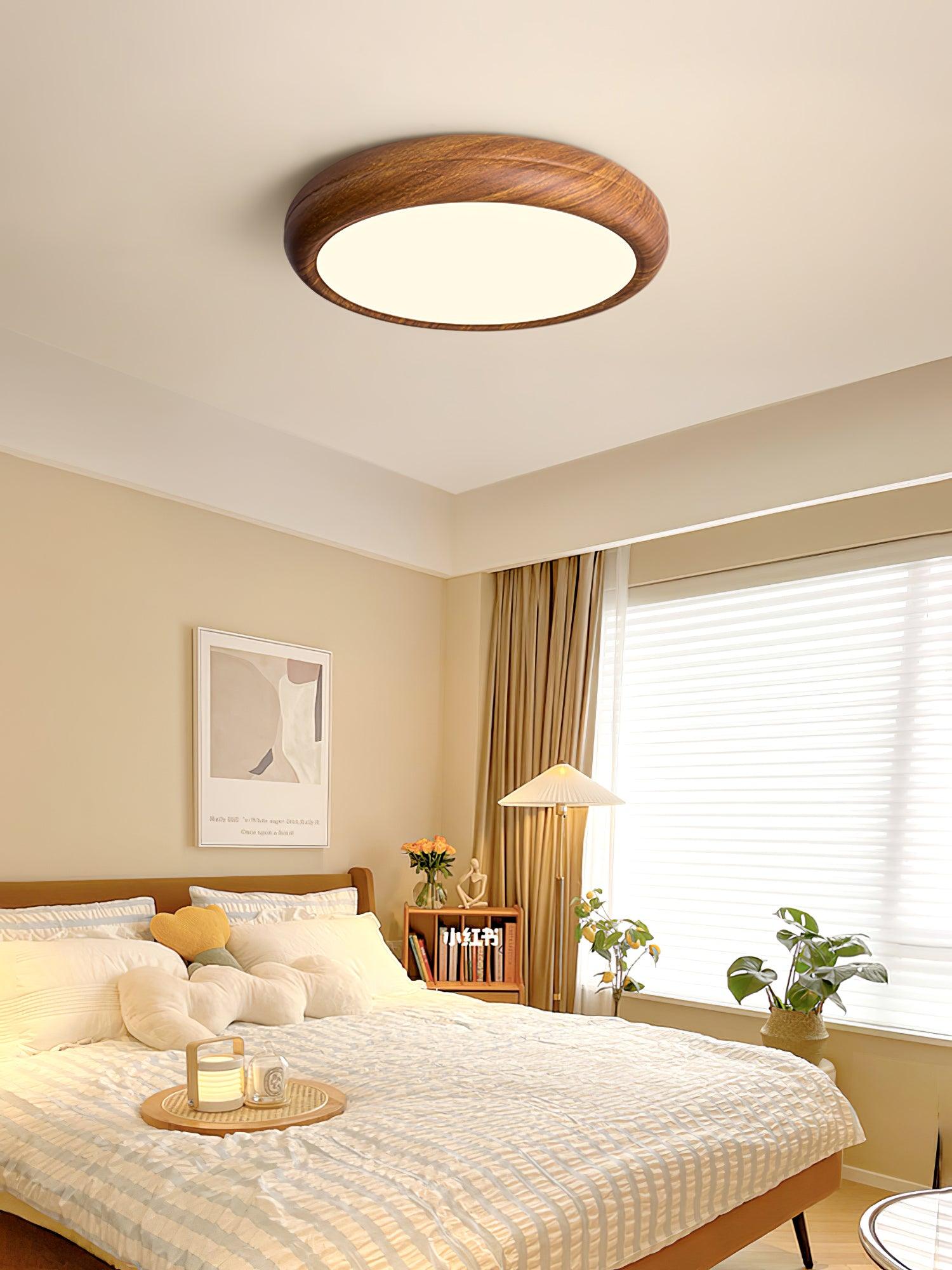 Delva Round Ceiling Light