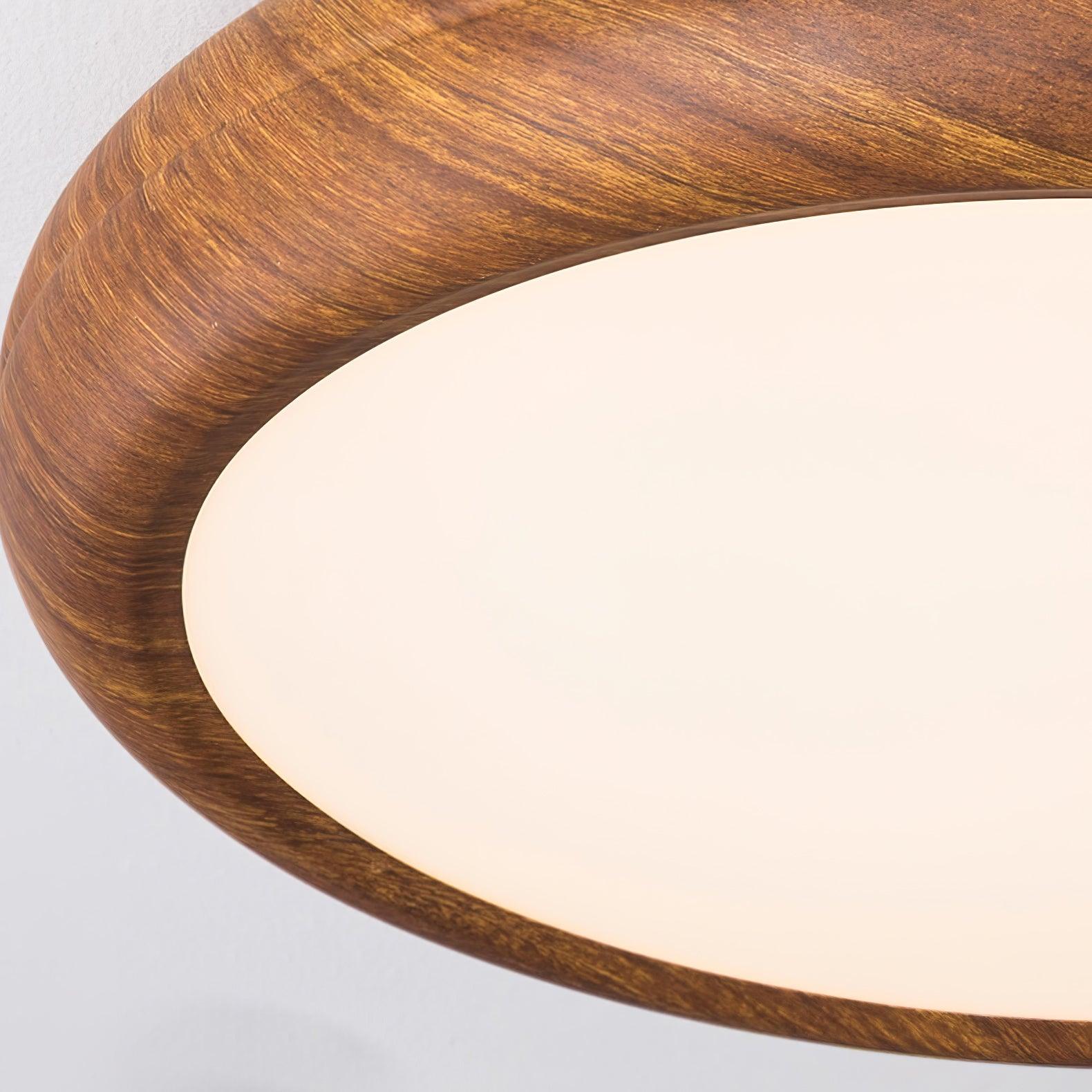 Delva Round Ceiling Light