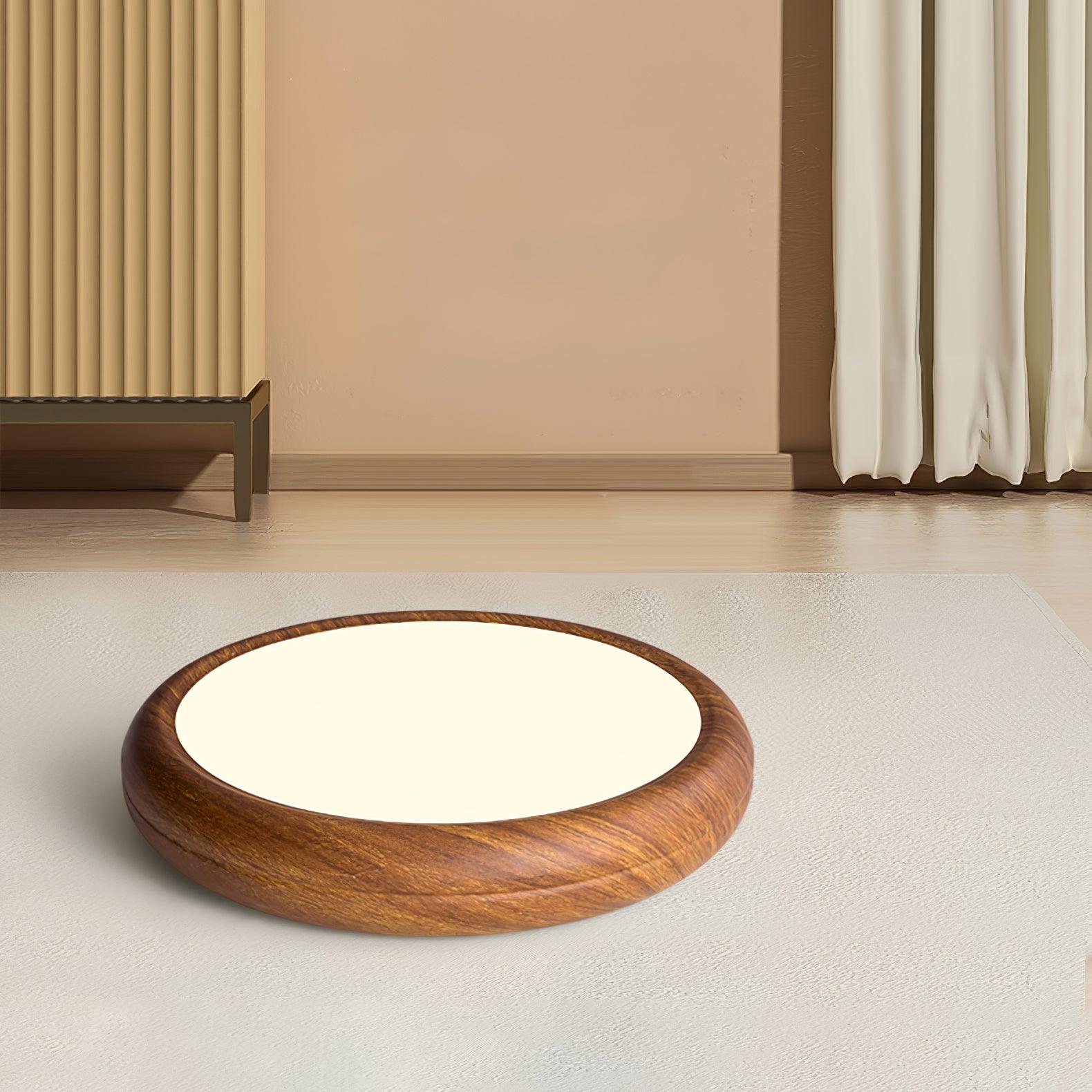 Delva Round Ceiling Light