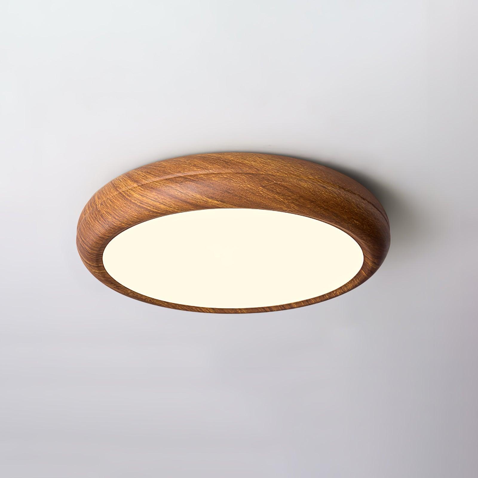 Delva Round Ceiling Light