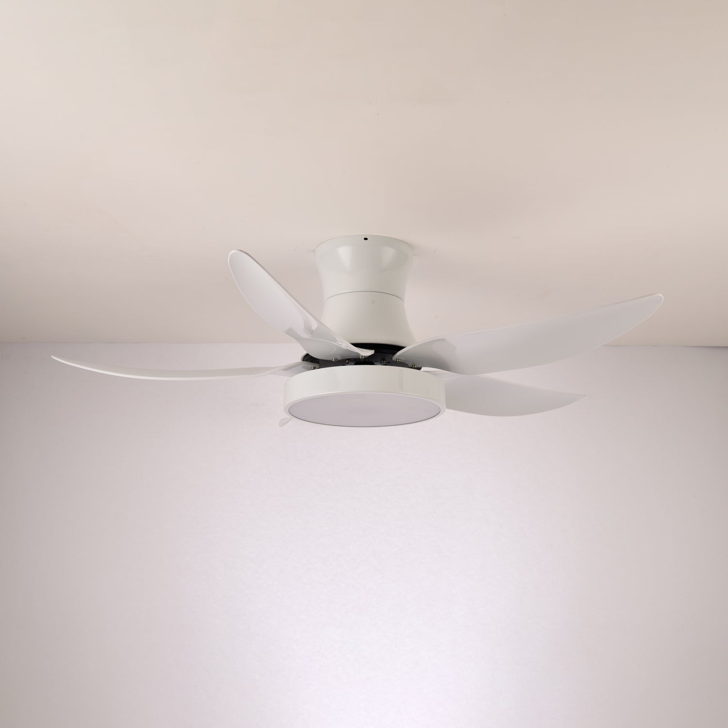 Avero Modern Ceiling Fan Light
