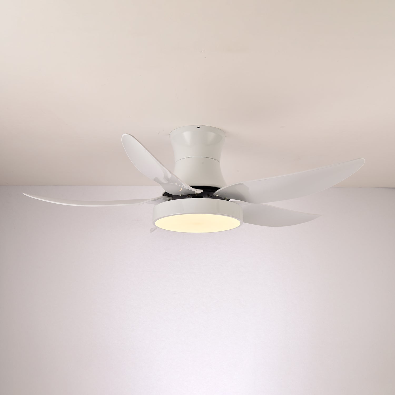 Avero Modern Ceiling Fan Light