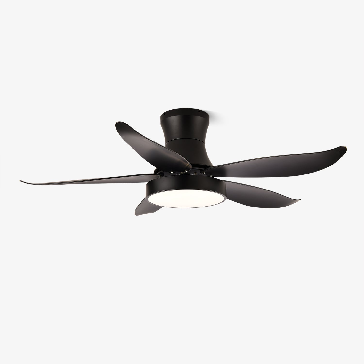 Avero Modern Ceiling Fan Light
