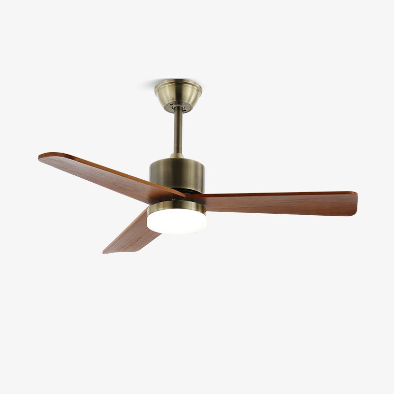 Finra Ceiling Fan Light