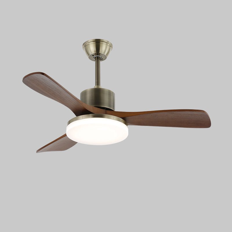 Finra Ceiling Fan Light