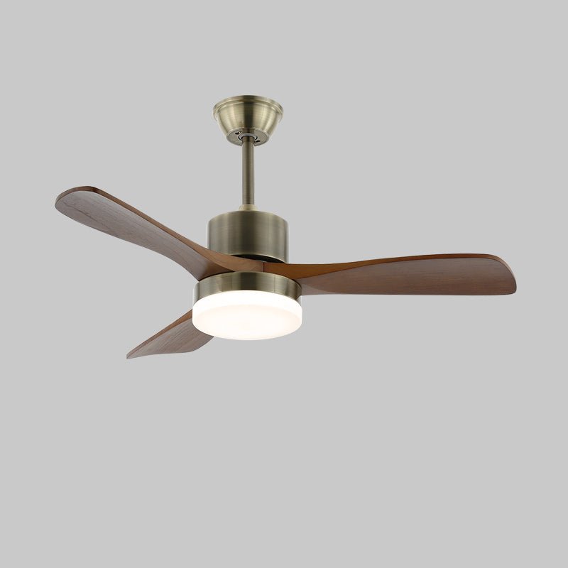 Finra Ceiling Fan Light