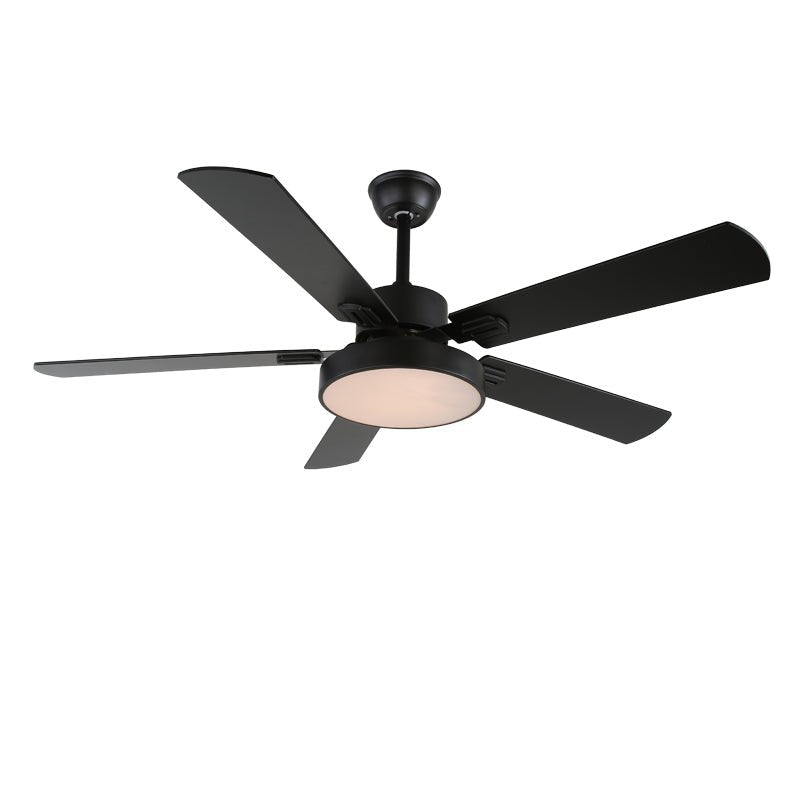 Boreef Ceiling Fan Light