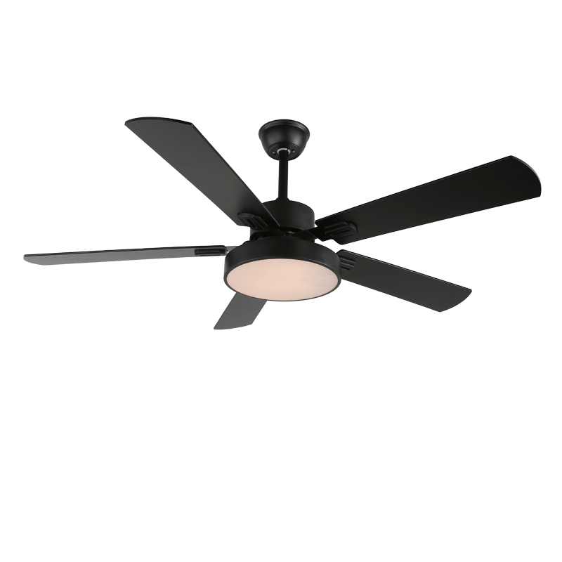 Boreef Ceiling Fan Light