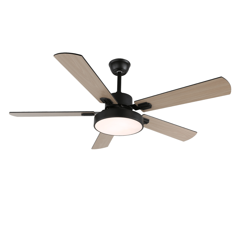 Boreef Ceiling Fan Light