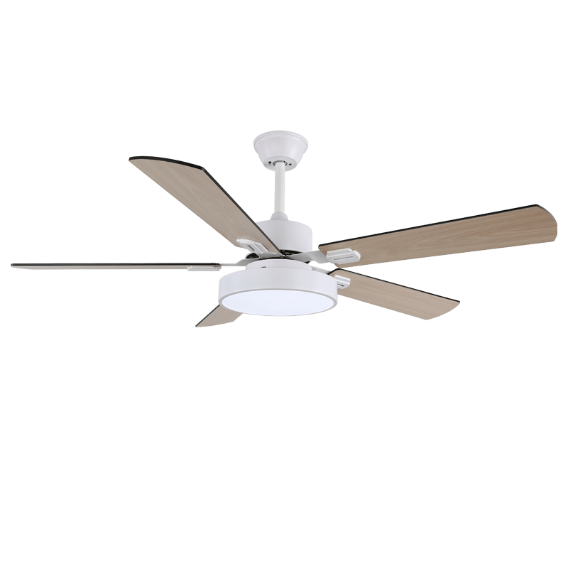 Boreef Ceiling Fan Light
