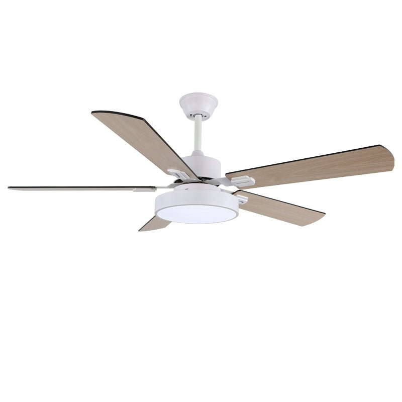 Boreef Ceiling Fan Light