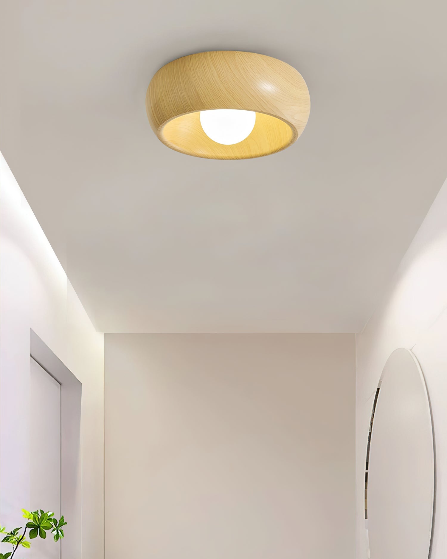 Sollynum Ceiling Light