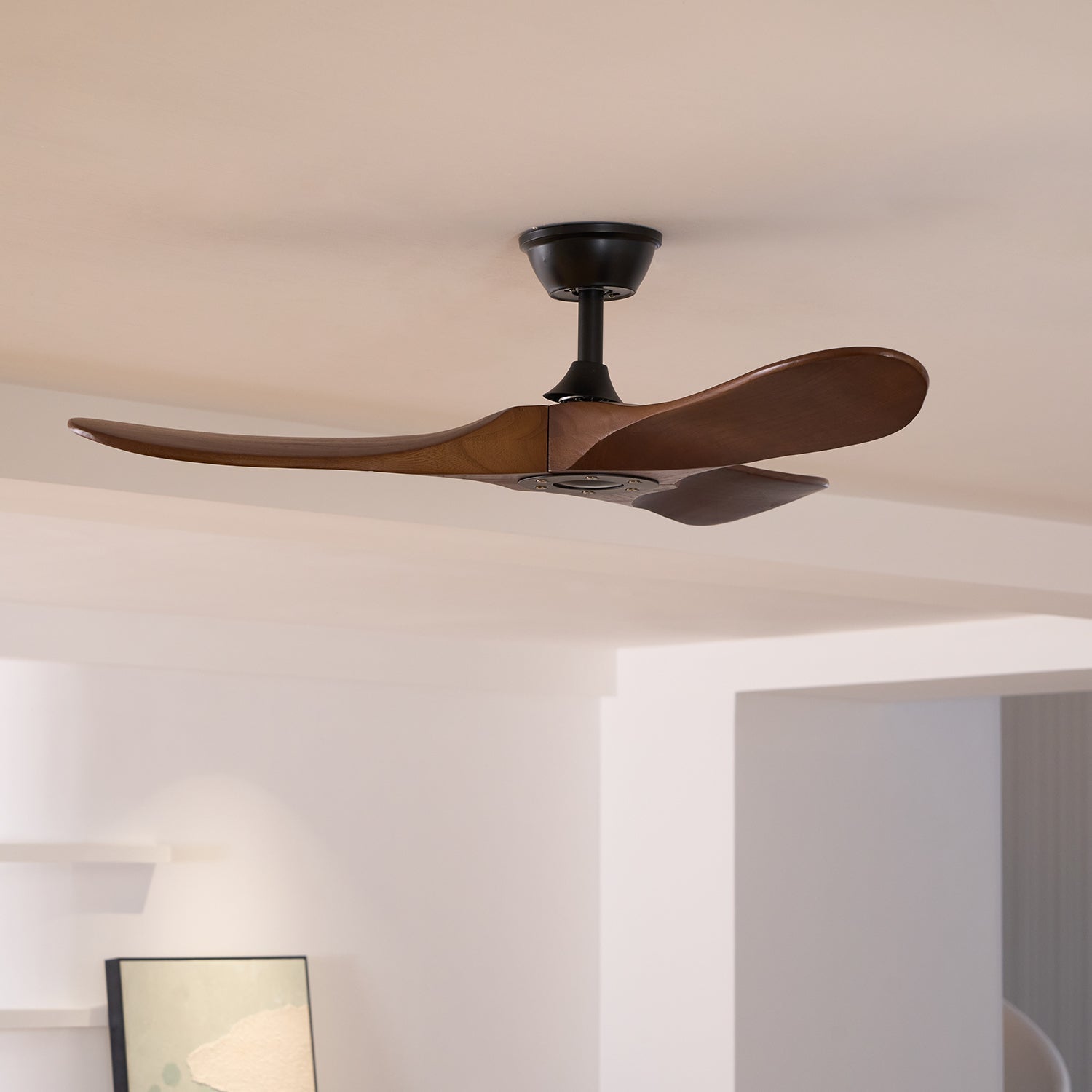 Calni Ceiling Fan