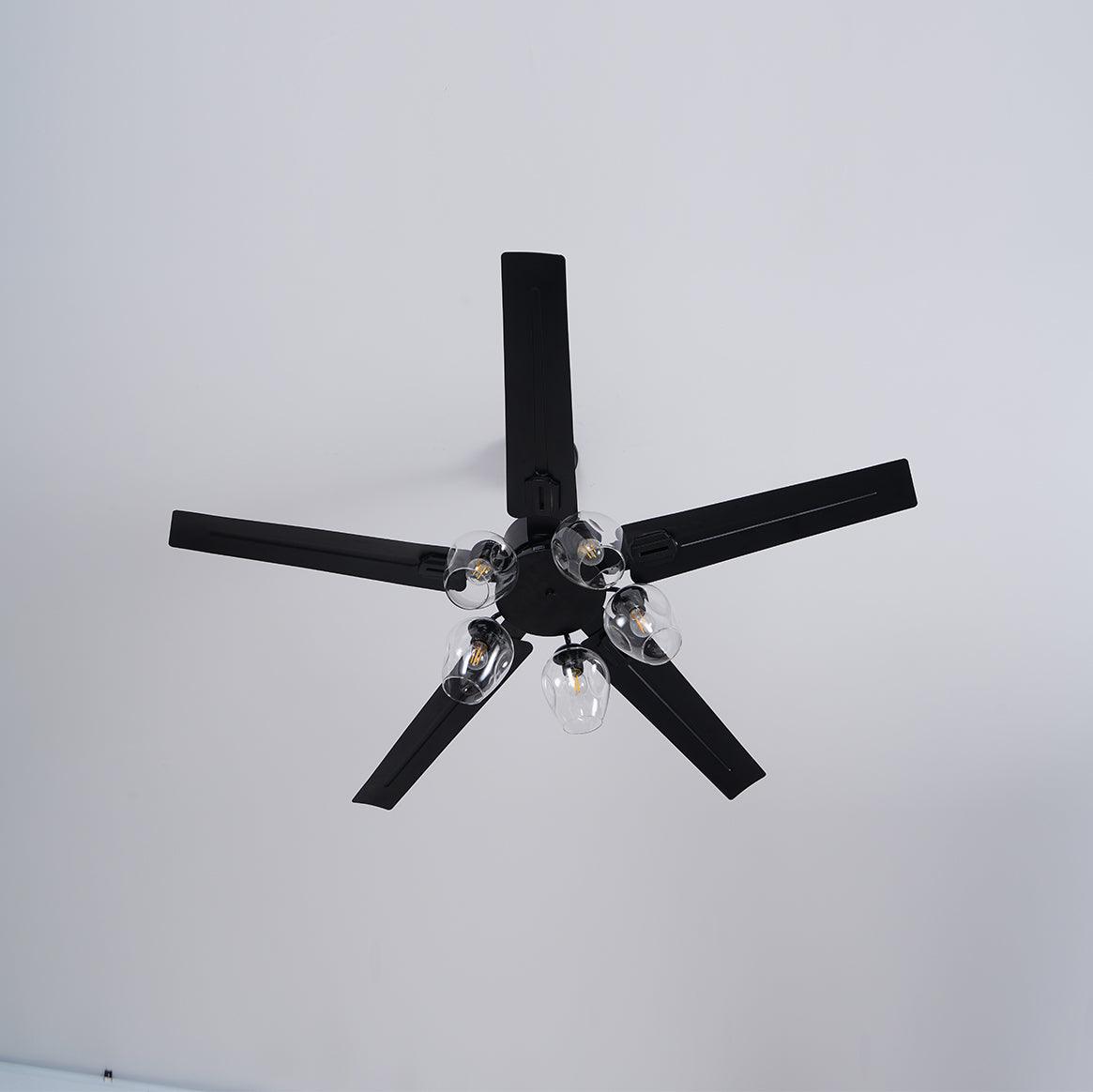 Elreezo Ceiling Fan Light