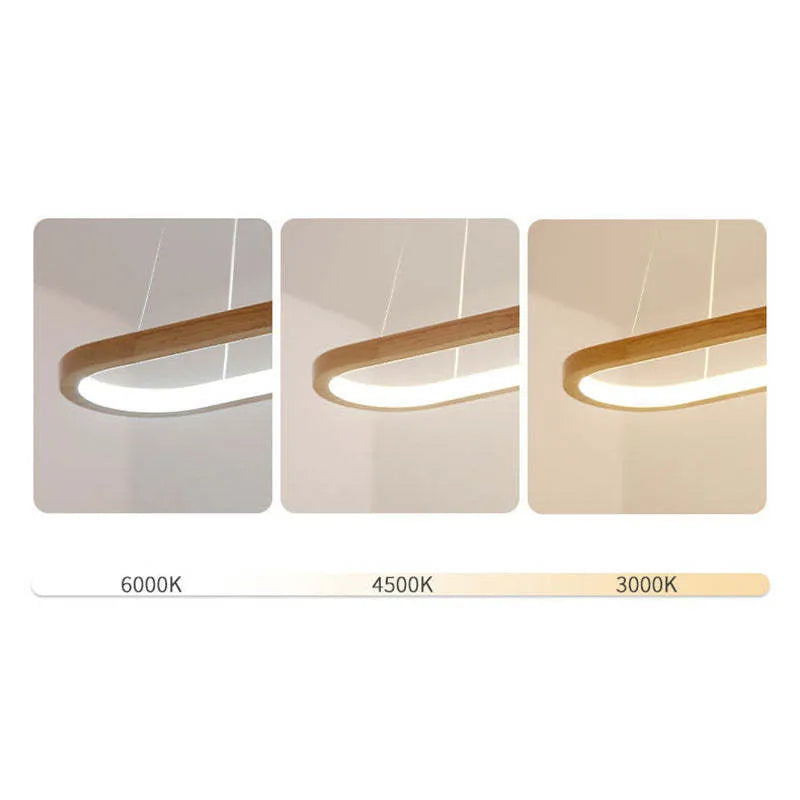 Bayve Oval Pendant Light