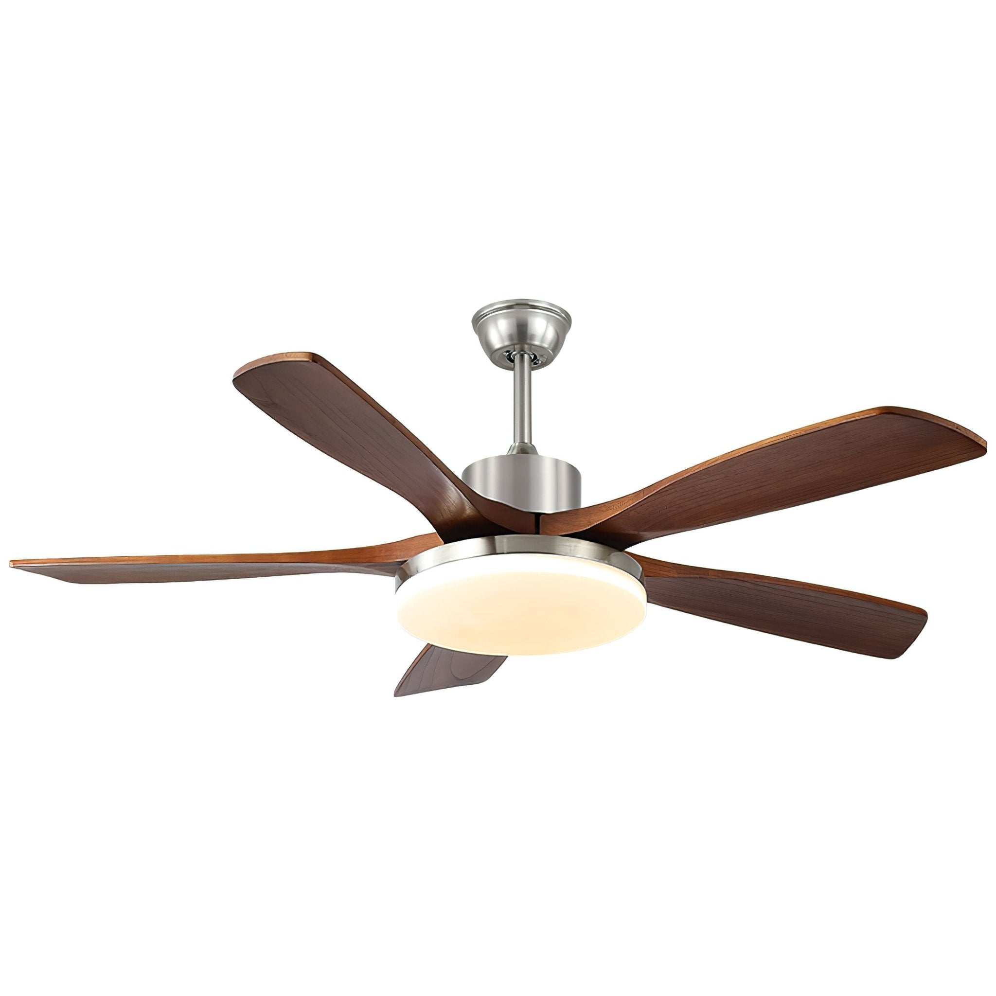 Renelum Ceiling Fan Light