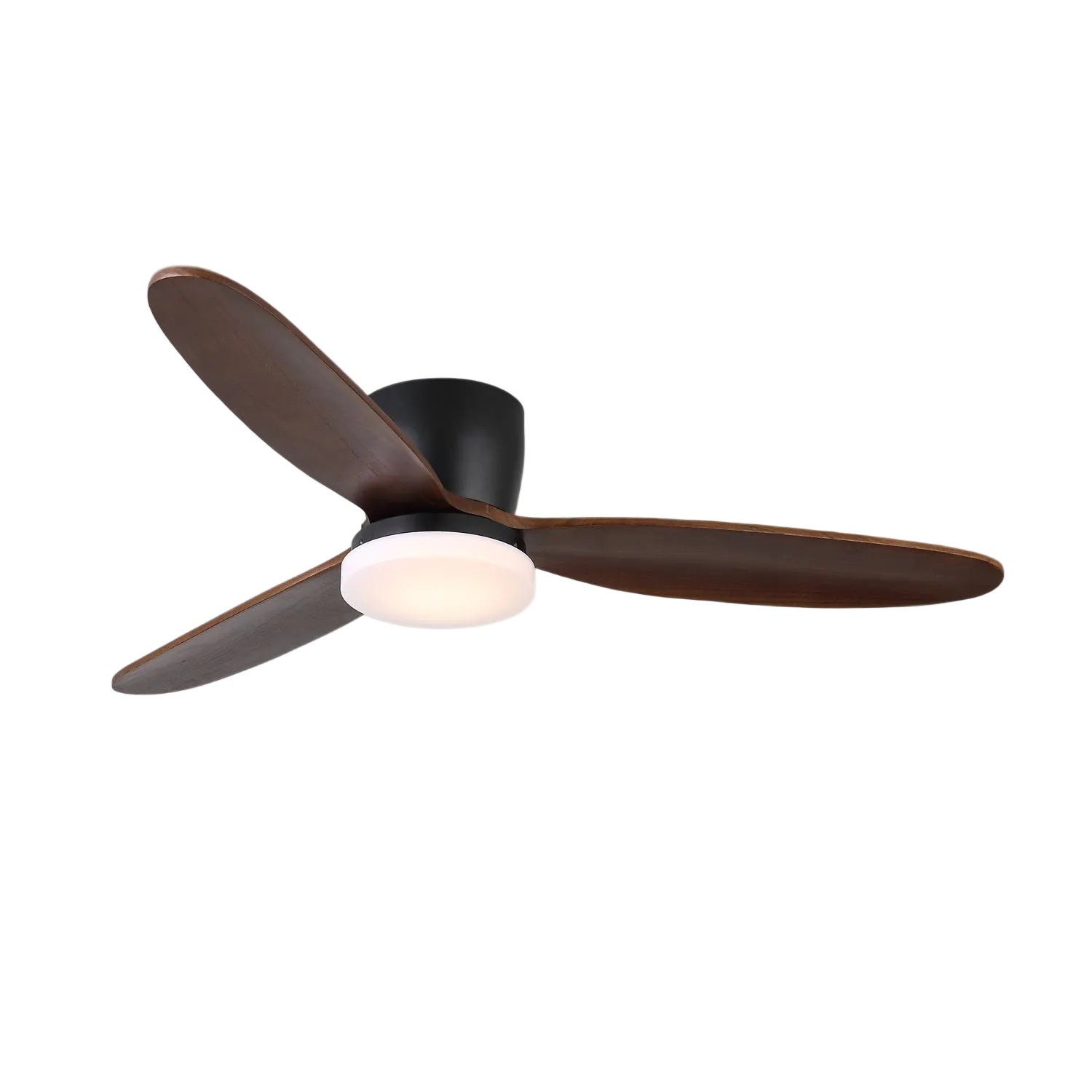 Evenlor Ceiling Fan Light