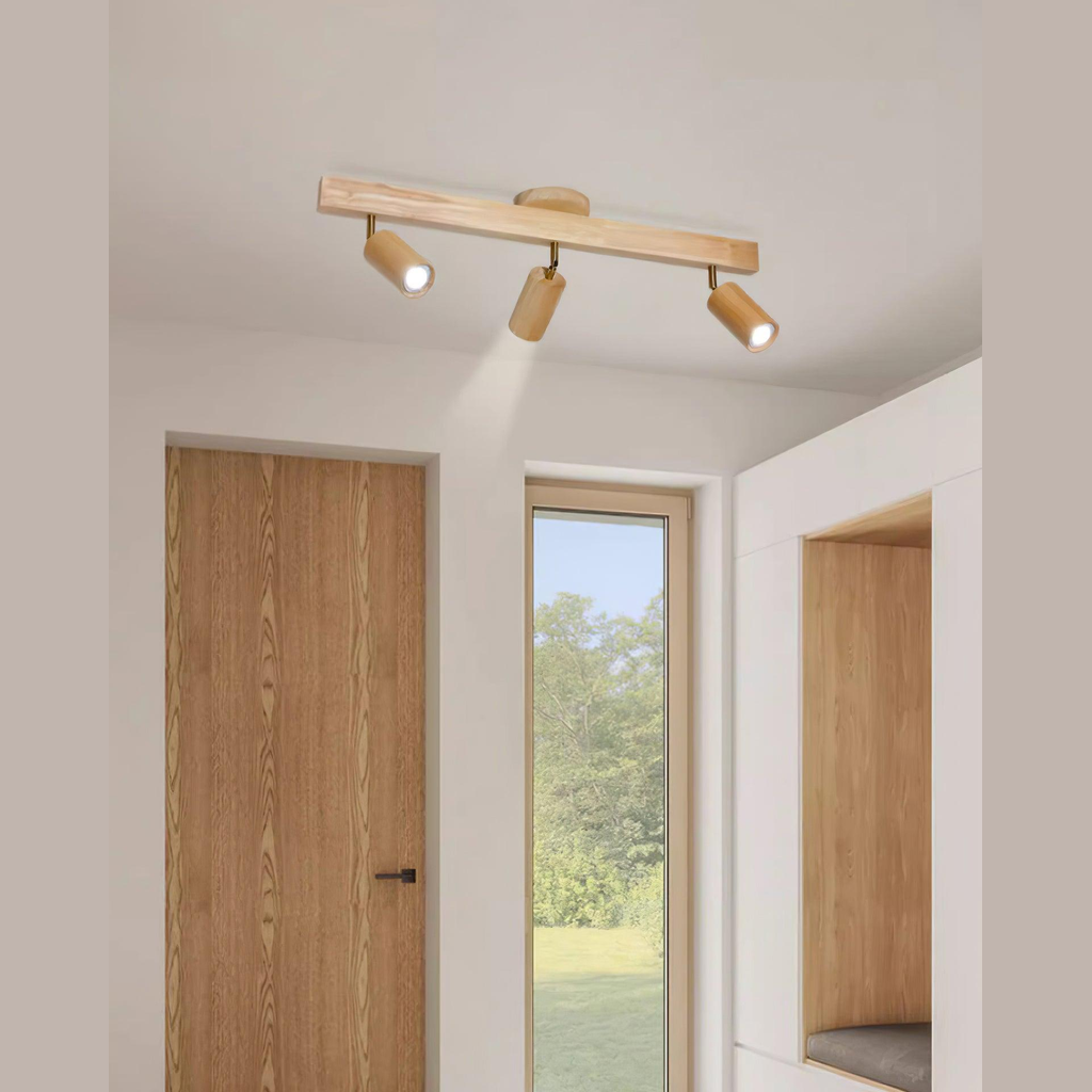 Nolwellro Outdoor Ceiling Light