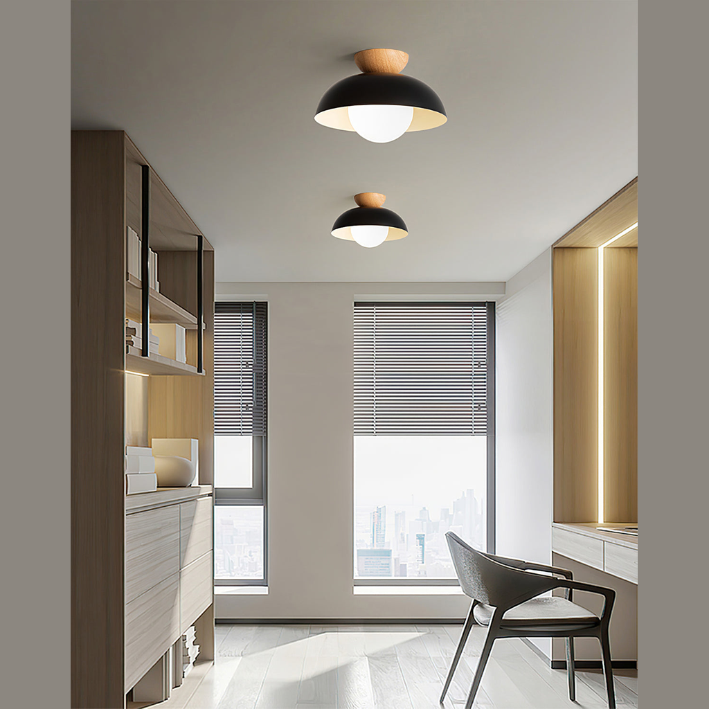 Junova Sloped Ceiling Light