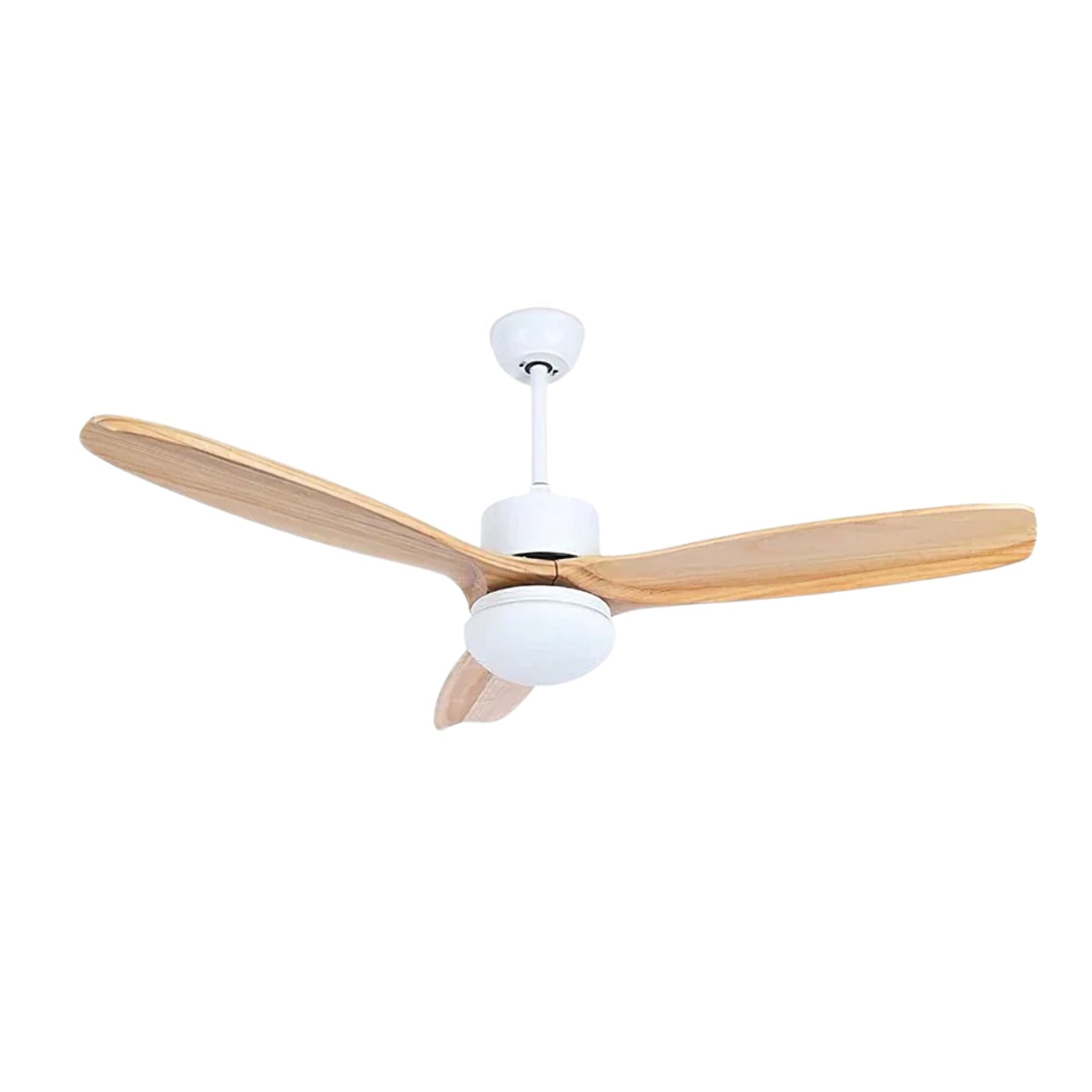 Zera Ceiling Fan Light