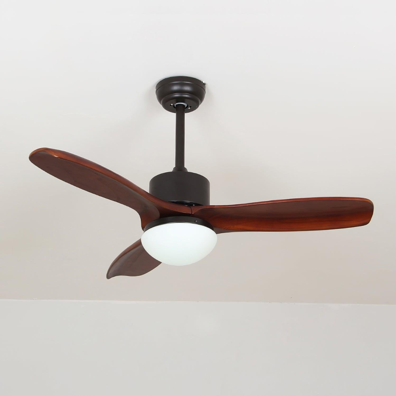 Zera Ceiling Fan Light