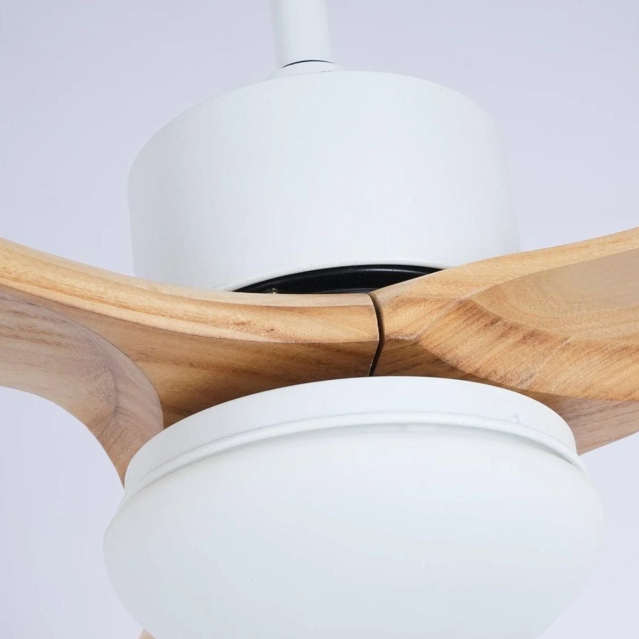 Zera Ceiling Fan Light